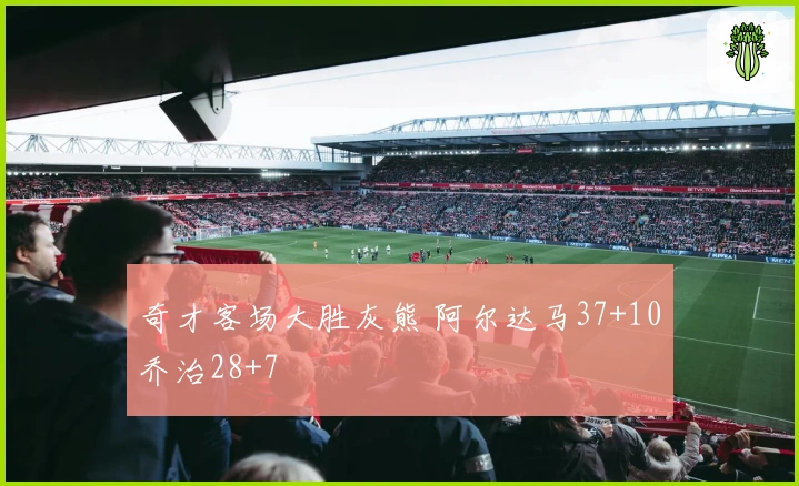 奇才客场大胜灰熊 阿尔达马37+10乔治28+7